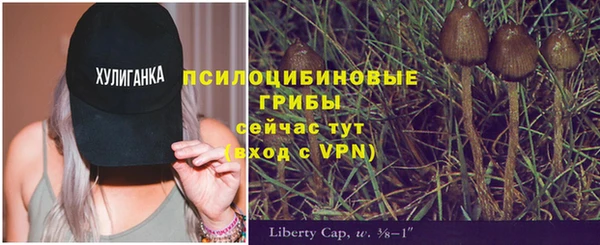 прущий лед Гусь-Хрустальный