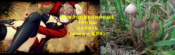 прущий лед Гусь-Хрустальный